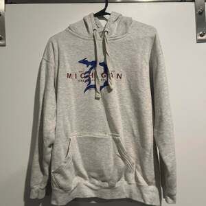 Livnfresh Michigan Great Lakes State Koozie Hoodie